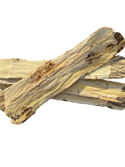 In Focus: Astragalus