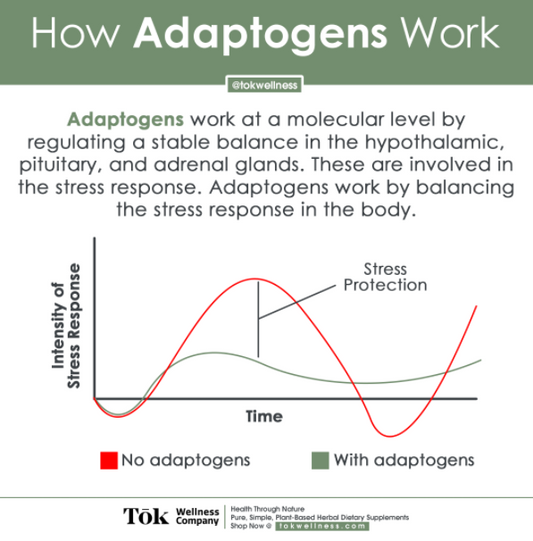 What Are Adaptogens?