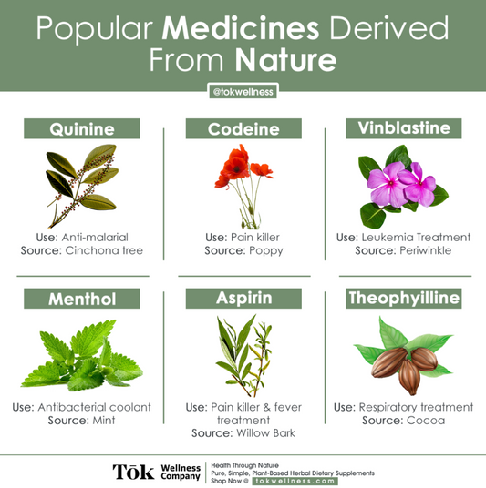 Popular Herbal Remedies Over Time